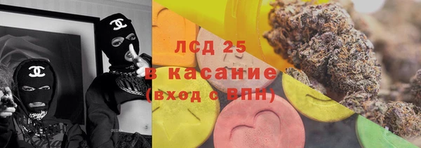 шишки Аркадак