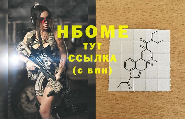 прущие грибы Армянск