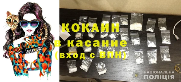 прущие грибы Армянск