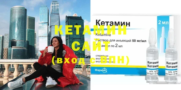 шишки Аркадак