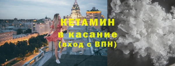 шишки Аркадак